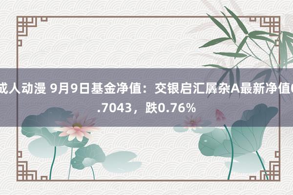 成人动漫 9月9日基金净值：交银启汇羼杂A最新净值0.7043，跌0.76%