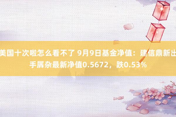 美国十次啦怎么看不了 9月9日基金净值：建信鼎新出手羼杂最新净值0.5672，跌0.53%