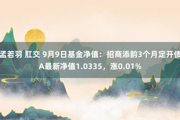 孟若羽 肛交 9月9日基金净值：招商添韵3个月定开债A最新净值1.0335，涨0.01%