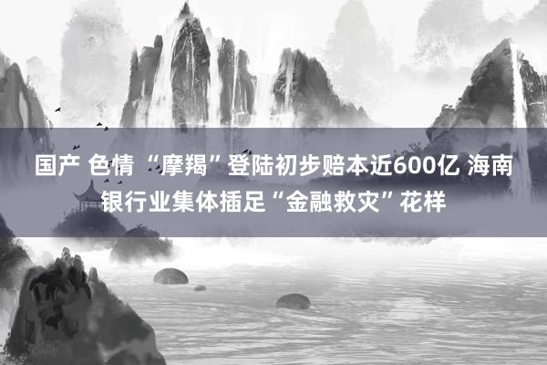 国产 色情 “摩羯”登陆初步赔本近600亿 海南银行业集体插足“金融救灾”花样