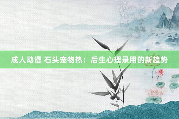 成人动漫 石头宠物热：后生心理录用的新趋势