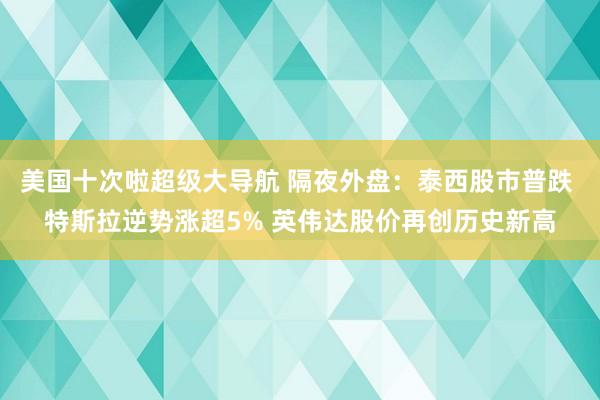 美国十次啦超级大导航 隔夜外盘：泰西股市普跌 特斯拉逆势涨超5% 英伟达股价再创历史新高