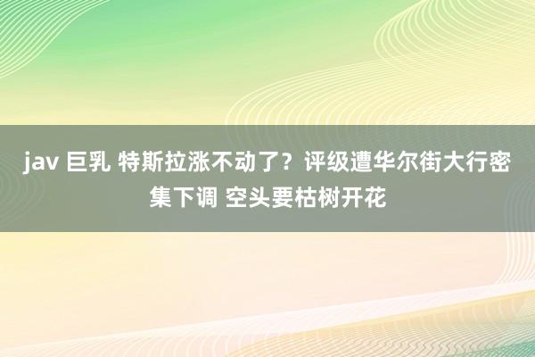 jav 巨乳 特斯拉涨不动了？评级遭华尔街大行密集下调 空头要枯树开花