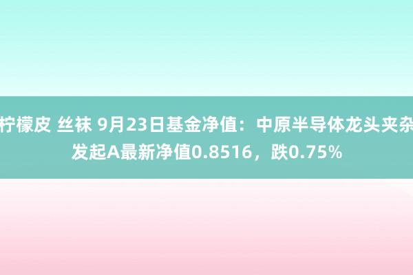 柠檬皮 丝袜 9月23日基金净值：中原半导体龙头夹杂发起A最新净值0.8516，跌0.75%