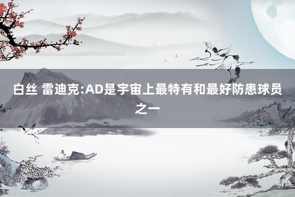 白丝 雷迪克:AD是宇宙上最特有和最好防患球员之一