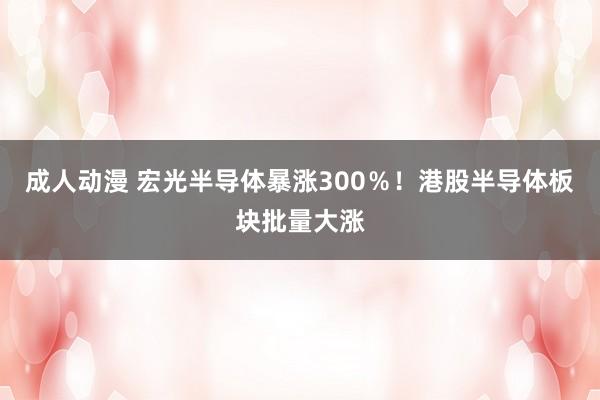 成人动漫 宏光半导体暴涨300％！港股半导体板块批量大涨