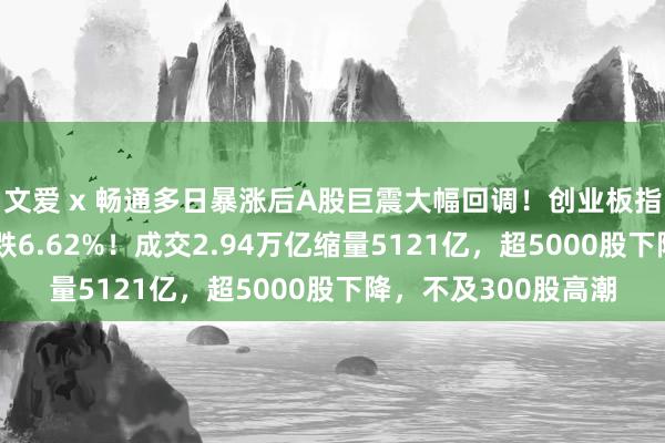 文爱 x 畅通多日暴涨后A股巨震大幅回调！创业板指暴跌逾10%，沪指跌6.62%！成交2.94万亿缩量5121亿，超5000股下降，不及300股高潮