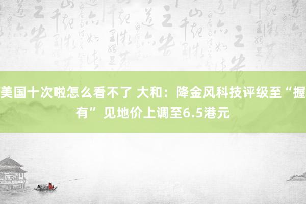 美国十次啦怎么看不了 大和：降金风科技评级至“握有” 见地价上调至6.5港元