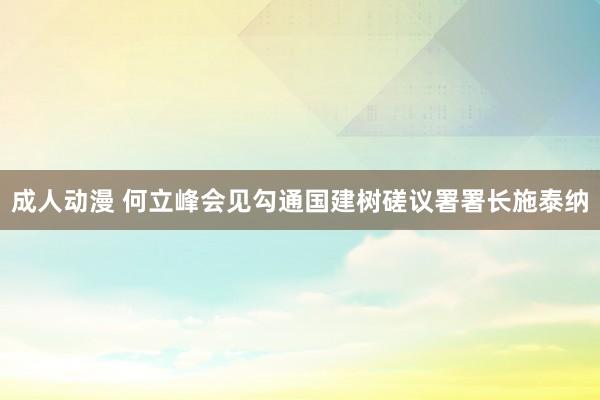 成人动漫 何立峰会见勾通国建树磋议署署长施泰纳