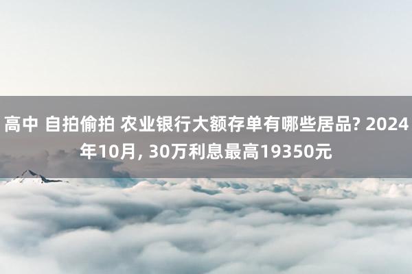 高中 自拍偷拍 农业银行大额存单有哪些居品? 2024年10月， 30万利息最高19350元