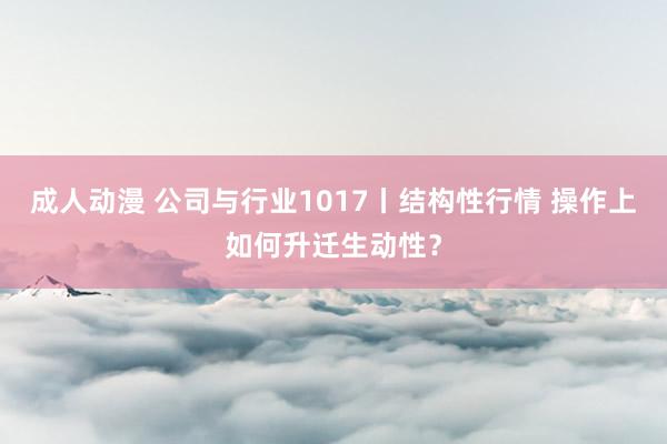 成人动漫 公司与行业1017丨结构性行情 操作上如何升迁生动性？