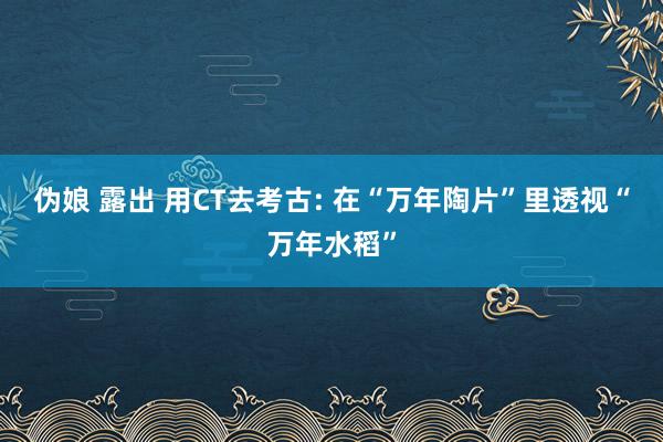 伪娘 露出 用CT去考古: 在“万年陶片”里透视“万年水稻”