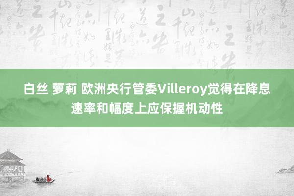 白丝 萝莉 欧洲央行管委Villeroy觉得在降息速率和幅度上应保握机动性