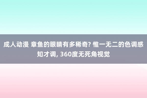 成人动漫 章鱼的眼睛有多稀奇? 惟一无二的色调感知才调， 360度无死角视觉