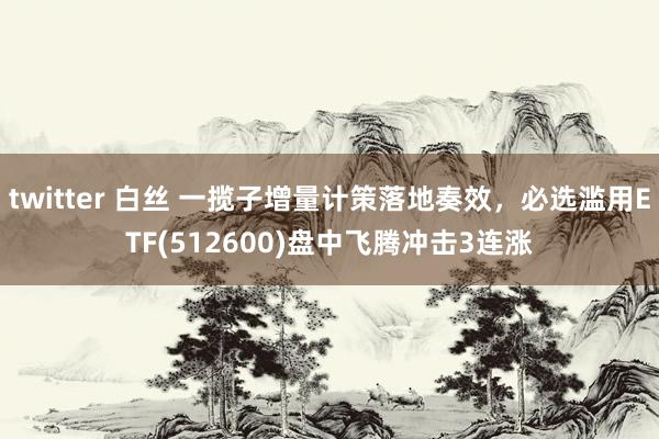 twitter 白丝 一揽子增量计策落地奏效，必选滥用ETF(512600)盘中飞腾冲击3连涨