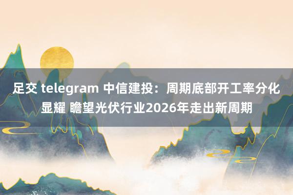 足交 telegram 中信建投：周期底部开工率分化显耀 瞻望光伏行业2026年走出新周期