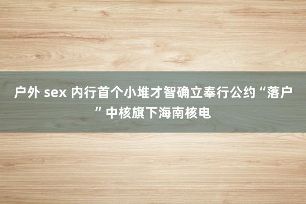 户外 sex 内行首个小堆才智确立奉行公约“落户”中核旗下海南核电