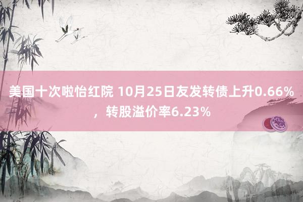 美国十次啦怡红院 10月25日友发转债上升0.66%，转股溢价率6.23%