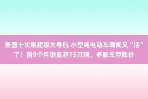 美国十次啦超级大导航 小型纯电动车阛阓又“活”了！前9个月销量超75万辆，多款车型降价