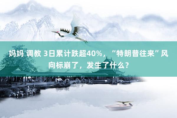 妈妈 调教 3日累计跌超40%，“特朗普往来”风向标崩了，发生了什么？