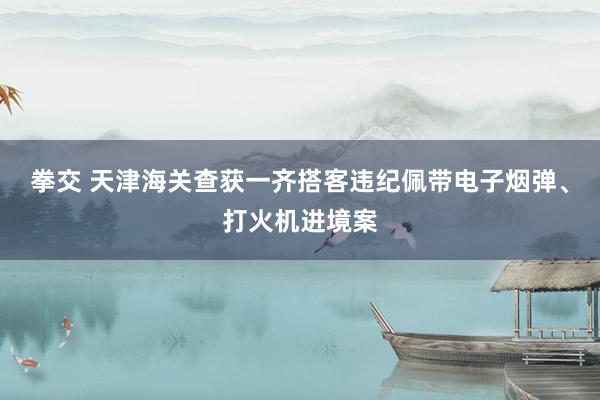 拳交 天津海关查获一齐搭客违纪佩带电子烟弹、打火机进境案