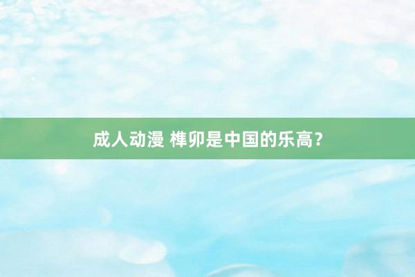 成人动漫 榫卯是中国的乐高？