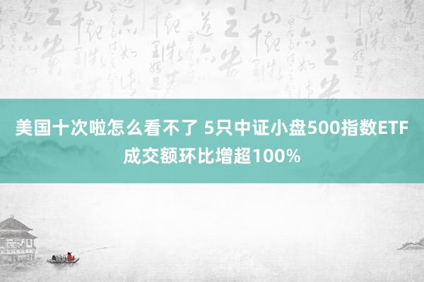 美国十次啦怎么看不了 5只中证小盘500指数ETF成交额环比增超100%