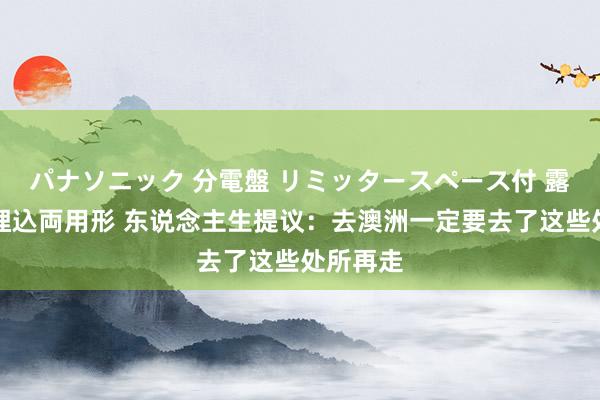 パナソニック 分電盤 リミッタースペース付 露出・半埋込両用形 东说念主生提议：去澳洲一定要去了这些处所再走