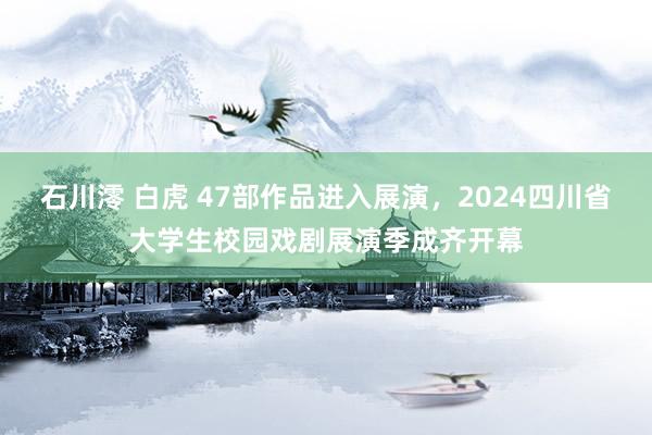 石川澪 白虎 47部作品进入展演，2024四川省大学生校园戏剧展演季成齐开幕