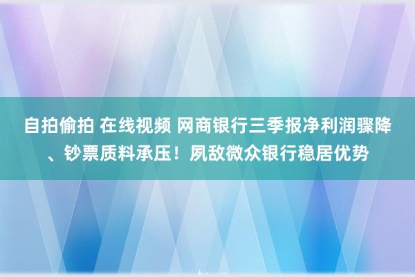 自拍偷拍 在线视频 网商银行三季报净利润骤降、钞票质料承压！夙敌微众银行稳居优势