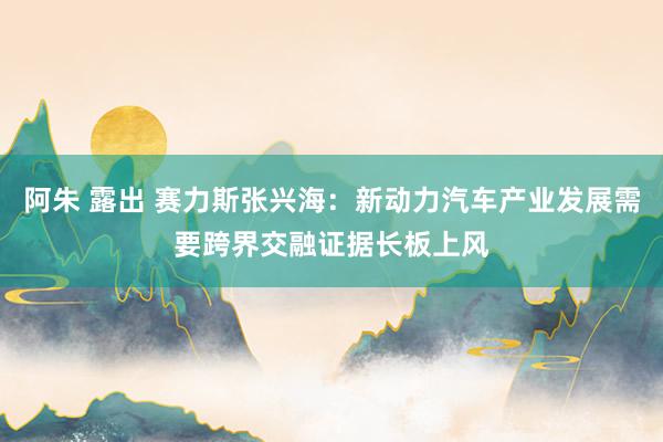 阿朱 露出 赛力斯张兴海：新动力汽车产业发展需要跨界交融证据长板上风