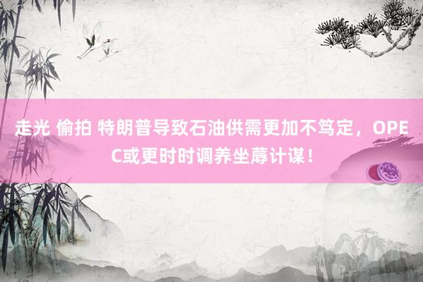 走光 偷拍 特朗普导致石油供需更加不笃定，OPEC或更时时调养坐蓐计谋！