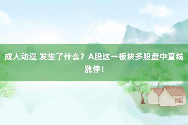 成人动漫 发生了什么？A股这一板块多股盘中直线涨停！