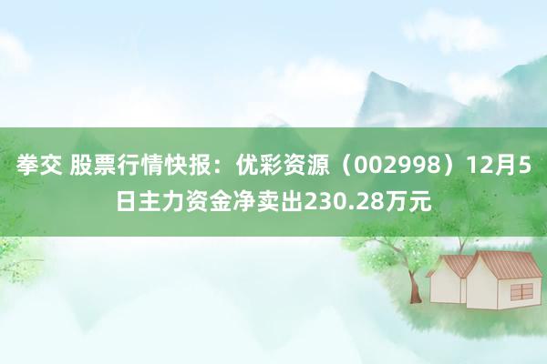 拳交 股票行情快报：优彩资源（002998）12月5日主力资金净卖出230.28万元