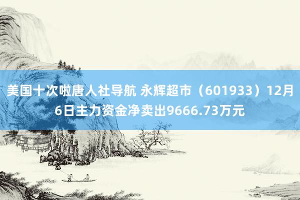 美国十次啦唐人社导航 永辉超市（601933）12月6日主力资金净卖出9666.73万元