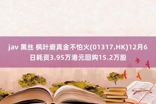 jav 黑丝 枫叶磨真金不怕火(01317.HK)12月6日耗资3.95万港元回购15.2万股