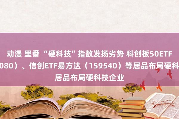 动漫 里番 “硬科技”指数发扬劣势 科创板50ETF（588080）、信创ETF易方达（159540）等居品布局硬科技企业