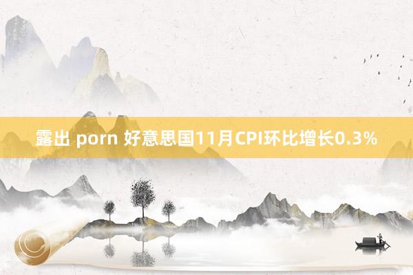 露出 porn 好意思国11月CPI环比增长0.3%