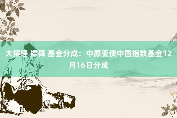 大摆锤 裸舞 基金分成：中原亚债中国指数基金12月16日分成