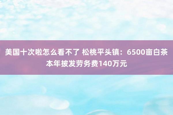 美国十次啦怎么看不了 松桃平头镇：6500亩白茶本年披发劳务费140万元