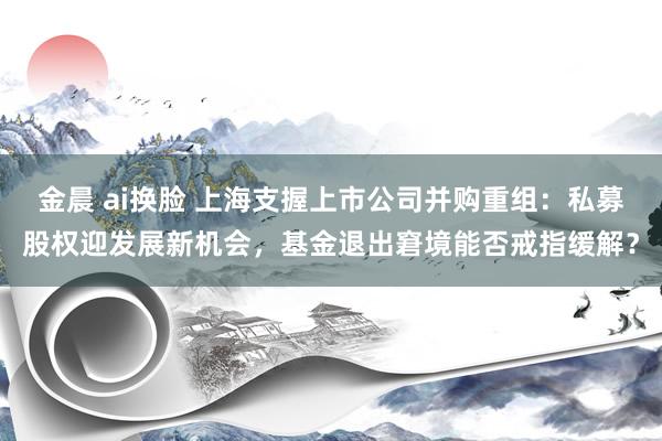 金晨 ai换脸 上海支握上市公司并购重组：私募股权迎发展新机会，基金退出窘境能否戒指缓解？