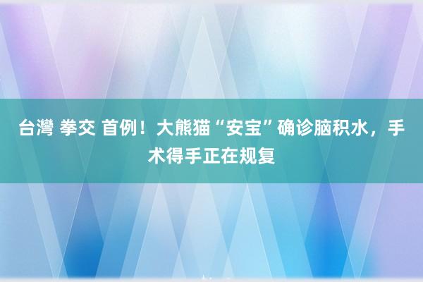 台灣 拳交 首例！大熊猫“安宝”确诊脑积水，手术得手正在规复