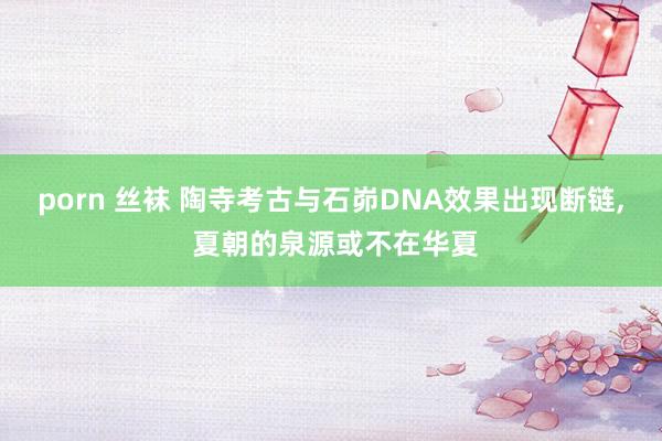 porn 丝袜 陶寺考古与石峁DNA效果出现断链， 夏朝的泉源或不在华夏