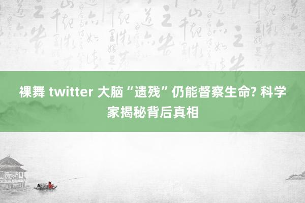 裸舞 twitter 大脑“遗残”仍能督察生命? 科学家揭秘背后真相