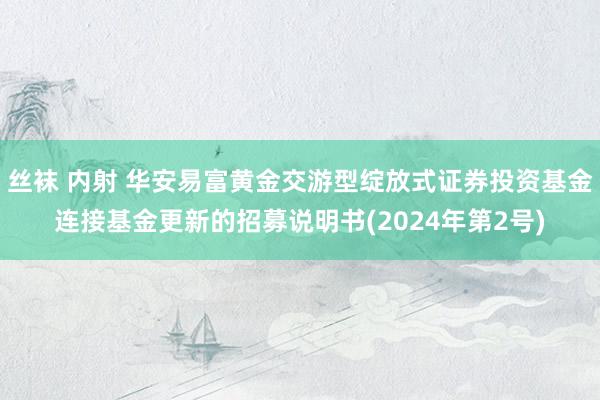 丝袜 内射 华安易富黄金交游型绽放式证券投资基金连接基金更新的招募说明书(2024年第2号)