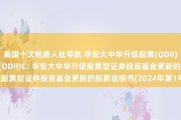 美国十次啦唐人社导航 华安大中华升级股票(QDII)A，华安大中华升级股票(QDII)C: 华安大中华升级股票型证券投资基金更新的招募说明书(2024年第1号)