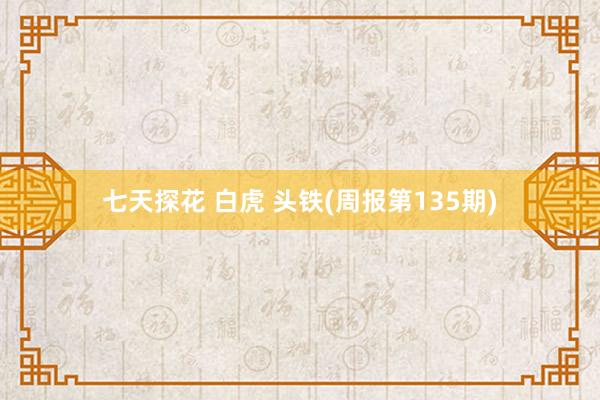 七天探花 白虎 头铁(周报第135期)