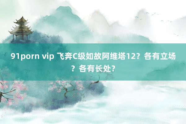 91porn vip 飞奔C级如故阿维塔12？各有立场？各有长处？