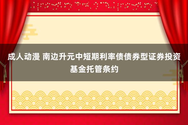 成人动漫 南边升元中短期利率债债券型证券投资基金托管条约