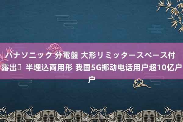 パナソニック 分電盤 大形リミッタースペース付 露出・半埋込両用形 我国5G挪动电话用户超10亿户